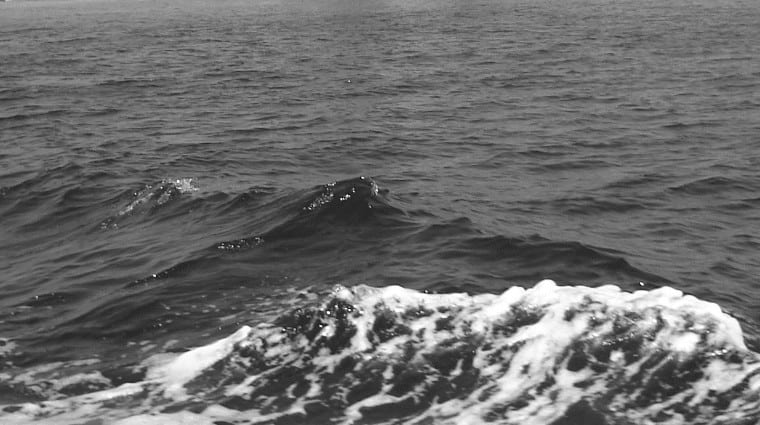 Ο κ. Στράτης Θαλασσινός περιγράφει έναν άνθρωπο, Άντρας, διαβάζει ο Χρήστος Γιανναράς