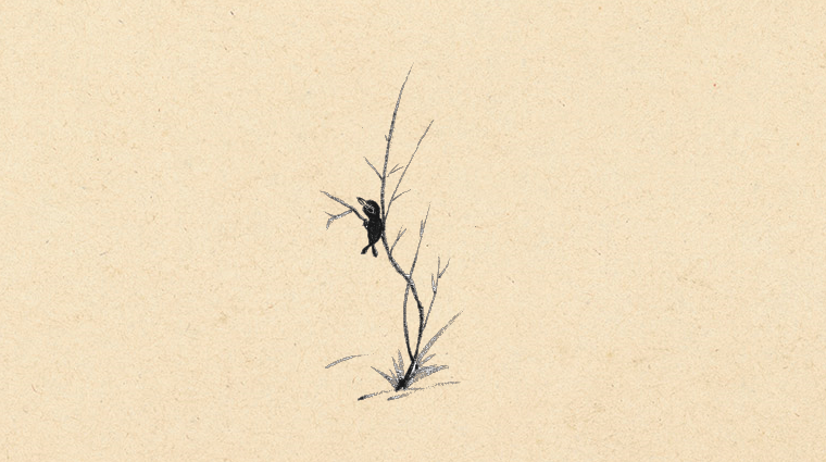 Νεότερος, διαβάζει η Σύλβια Λιούλιου