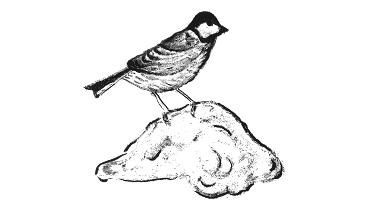 Οι βράχοι της Ύδρας, διαβάζει η Ρίτα Λυτού